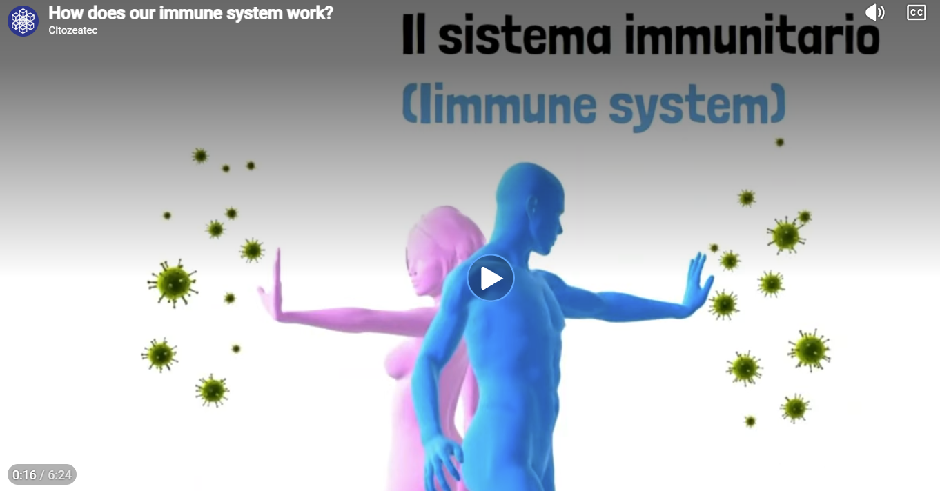 Citozeatec: Hoe werkt je immuunsysteem