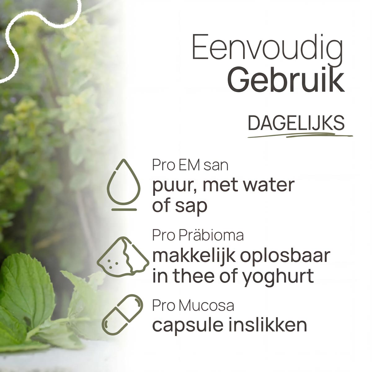 Tisso - Probiotica Darmkuur Original