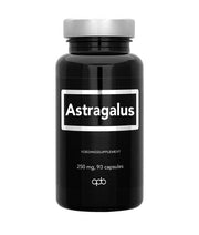 Astragalus