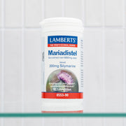 Lamberts Milk Thistle (Mariadistel)