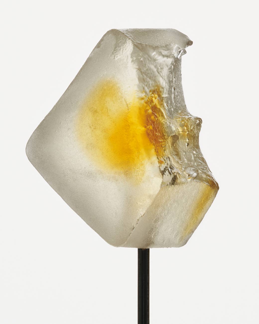 NOON Focus Gummy Delights met Paddestoelen voor Concentratie