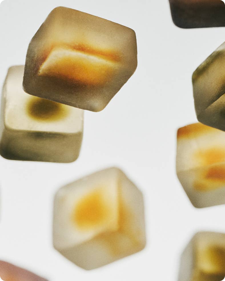 NOON Focus - Gummy Delights met Paddestoelen voor Concentratie